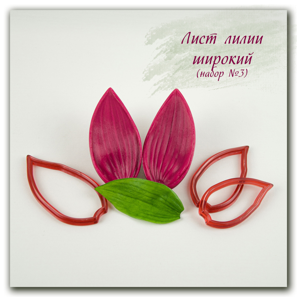 вайнер и каттеры листа лилии