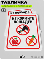 Табличка "Не кормите лошадей" на дверь и забор, для конюшни, фермы, деревни, 40х30 см, Silver Plane x Айдентика Технолоджи