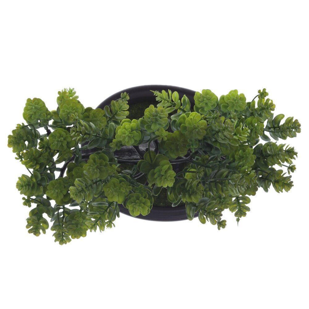 GAEM Цветочная композиция "Бонсай", L24 W14 H26 см, 2в.