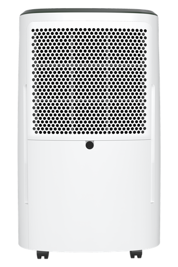 Осушитель воздуха серии CARISMA Loft RD-CR20-E