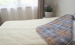 Одеяло ЛЕЖЕБОКА Woolly blanket 140х205 меховое из 100% шерсти мериноса, 2641-140-5-45-9