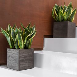 Кашпо CONE BREZENT GREY D24 H26