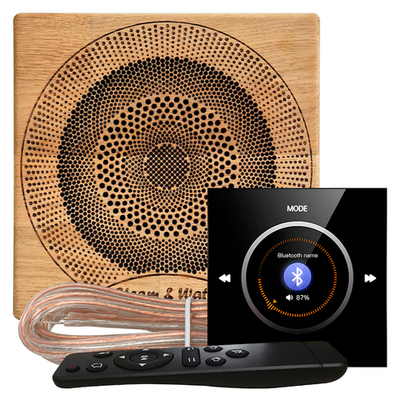 Комплект акустики Steam&Water NOISE black SAUNA S1