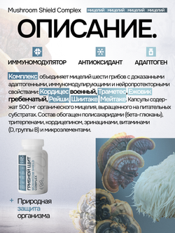 Грибной щит 120 капсул