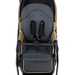 Детская коляска Roan Bass Next 2.0 2 в 1 BSN/42/2 Mocha Mousse/Black/руч.Cappuccino