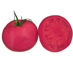 Пинк Райз F1 семена томата индетерминантного (Sakata / Саката)