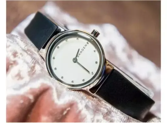 Женские часы Skagen SKW2668