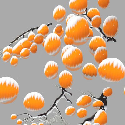 мандарины, на ветках, снег