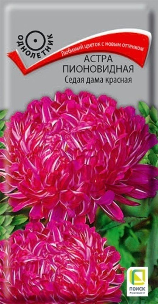 Астра пионовидн. Седая дама красная 0,3гр Поиск