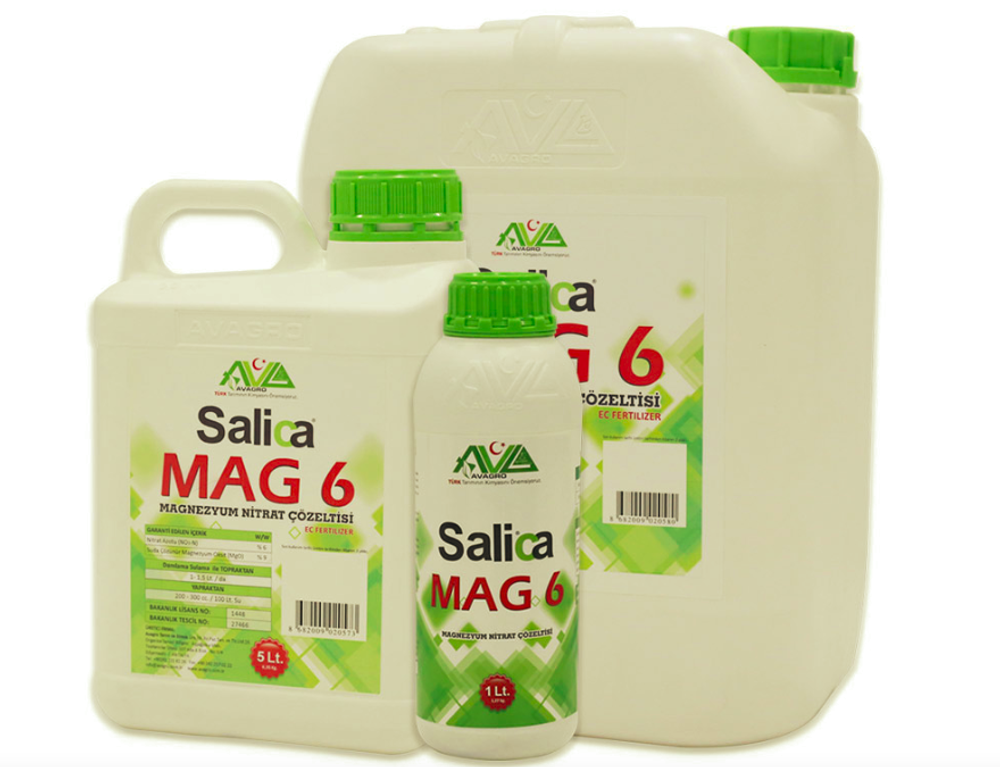 salica mag 6