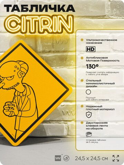 Табличка декоративная "Мистер Бернс" из сериала Симпсоны, на дверь и стену, прикольная штука в подарок фанату, декоративный знак ЦИТРИН, 24,5х24,5 см, пластиковая, Айдентика Технолоджи