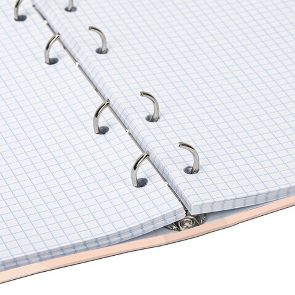 Тетрадь на кольцах А5 165х215 мм, 120 л., твердый картон, клетка, BRAUBERG, "Девушка", 404076