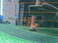 Стекло крышки багажника EXEED TXL (2021-н.в.)