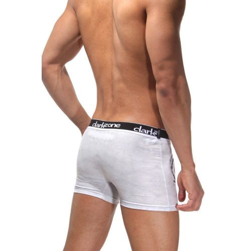 Трусы мужские боксеры с 3D принтом DARKZONE DZN1092