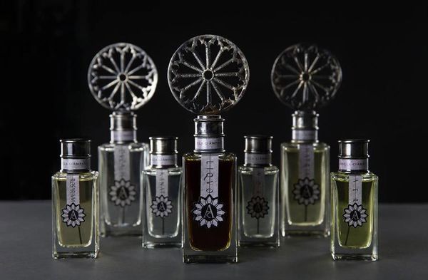 Angela Ciampagna Ducalis