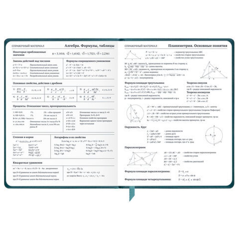 Дневник 1-11 класс 48 л., кожзам (твердая), печать, резинка, конверт, BRAUBERG, "Bright Lion", 106577