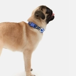 Ошейник Midnight Safari