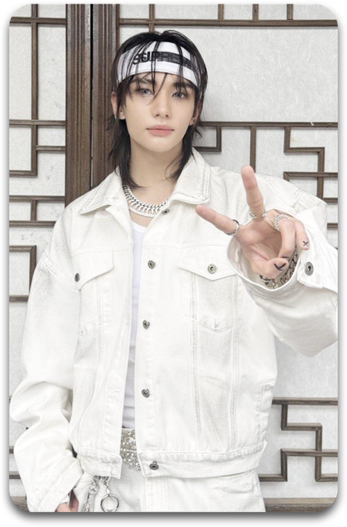 Карта / STRAY KIDS #2263