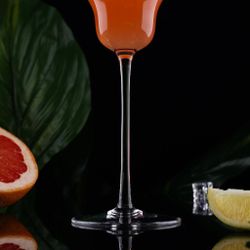 Рюмка коктейльная 180 мл "Freesia" d 8,7 см h19,5 см   P.L. [6]