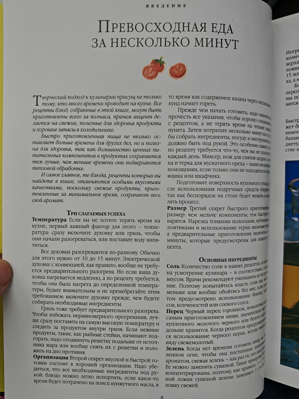 Кулинарный шедевр за 30 минут. 300 быстрых рецептов оригинальных блюд