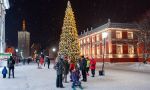 Уличная елка каркасная «Евро-2 Сосна» (Леска бело-зеленая) от 4 до 30 м