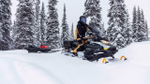 Снегоход BRP Ski-Doo Skandic LE 20_ 900 Ace (2023)