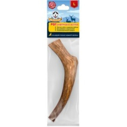 ПОГРЫЗУХИН Рог северного оленя L