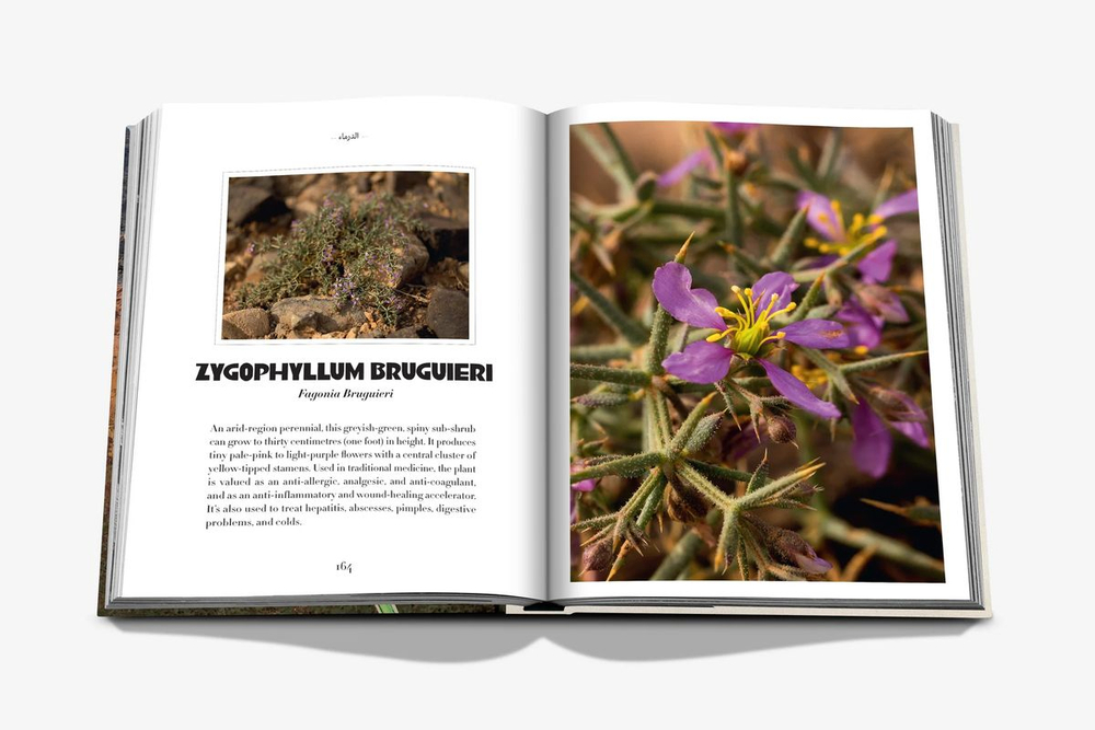 Книга Assouline AlUla Flora в твердом переплете