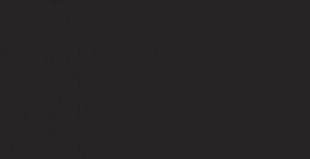 HPL-панель 1021 Black Slotex 1320х3050 / 1320х4200