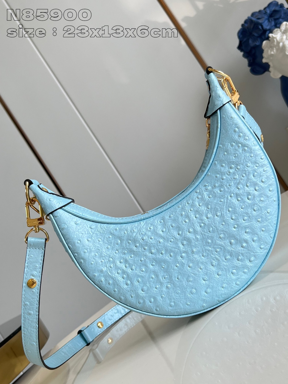 Louis Vuitton Loop Bag