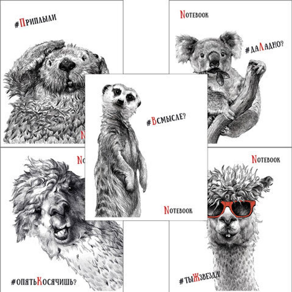 Тетрадь 48 л. кл. скреп. ЧЕРНО-БЕЛЫЕ ЗВЕРИ А5 soft touch выб. УФ-лак офс.