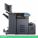 Принтер Kyocera P4060dn (1102RS3NL0)