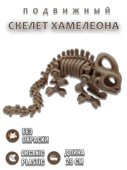 Скелет Хамелеона