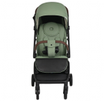 Коляска прогулочная Pituso Matrix PU Emerald mood