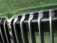 Решетка радиатора BMW X7 G07 (2019-2022)
