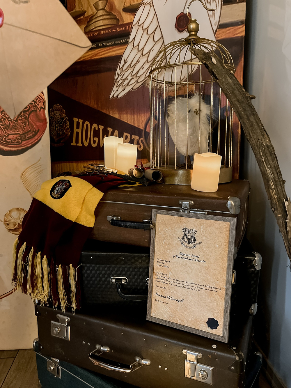Harry Potter