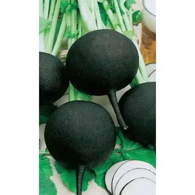Семена Редька Зимняя круглая черная (Марс) Б/П