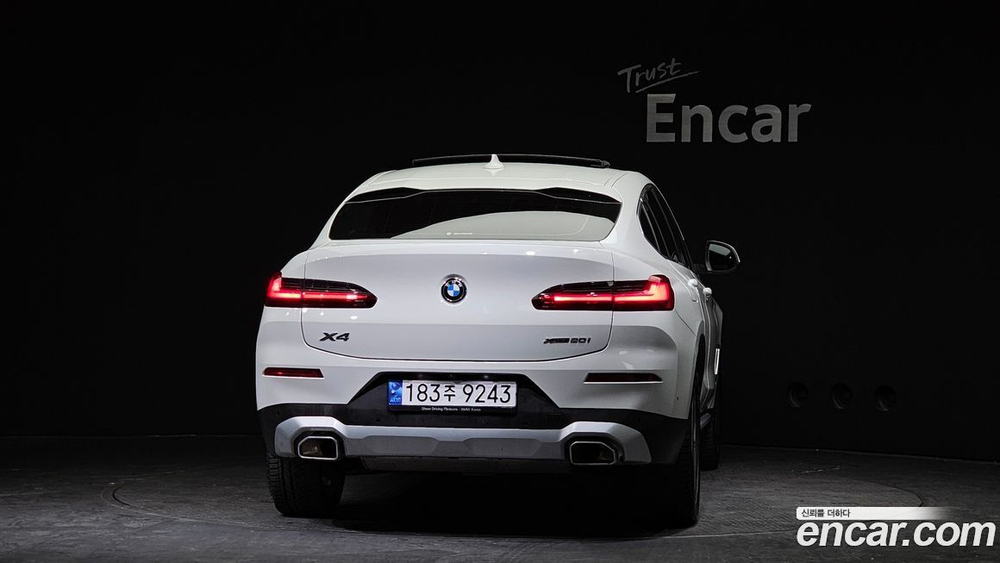 BMW X4 (G02) xDrive20i xLine (01.2023)