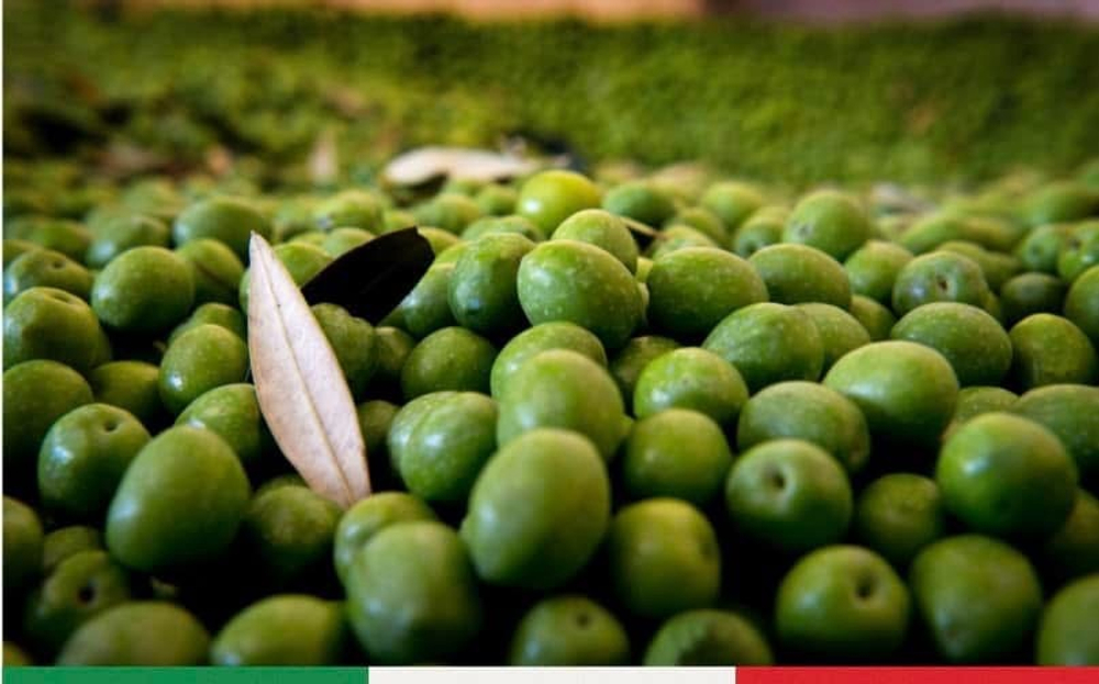 Оливковое масло BARBERA SICULO SICILIA IGP Extra Virgin 750 мл Италия