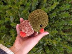 Toxunma Yaşılbaş Ördək