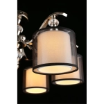 Потолочная люстра Aployt FLORET APL.703.17.06