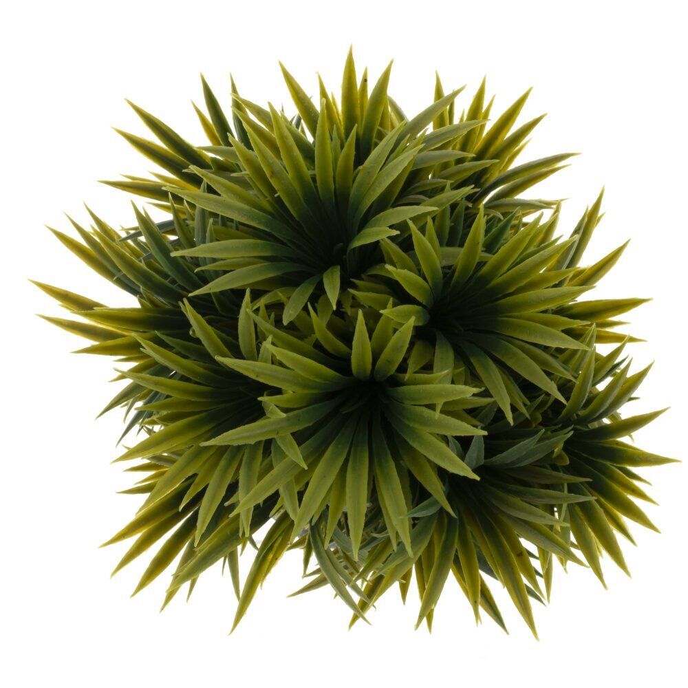 GAEM Цветочная композиция, L15 W15 H18 см