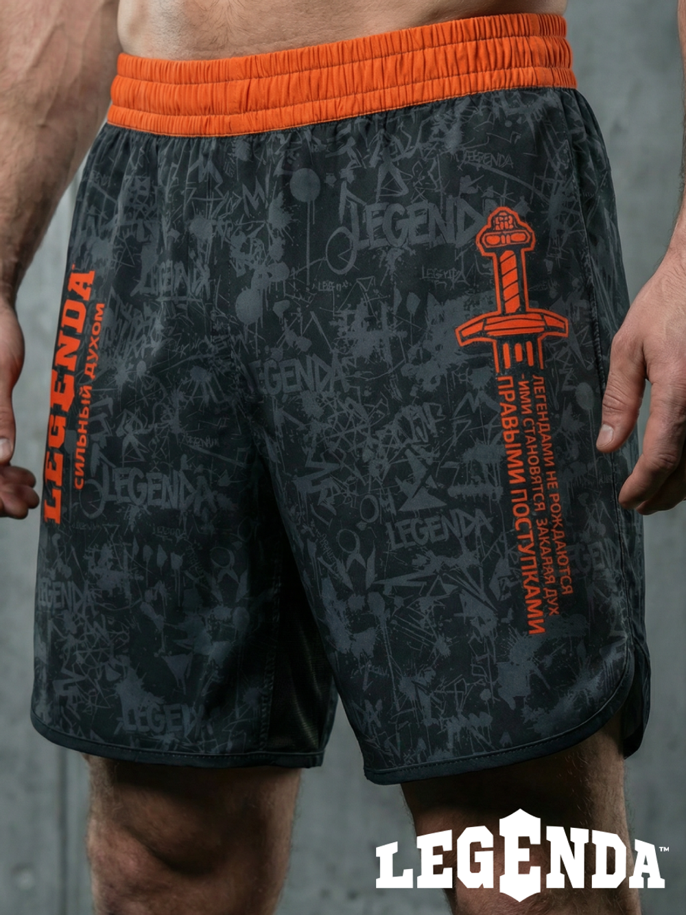 Шорты спортивные тренировочные LEGENDA Миссия черные