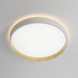 Citilux ETALON CL750240 LED Светильник с подсветкой Белый+Бук