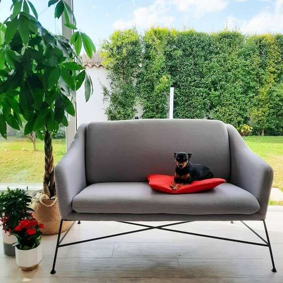 Диван Brida светло-серый