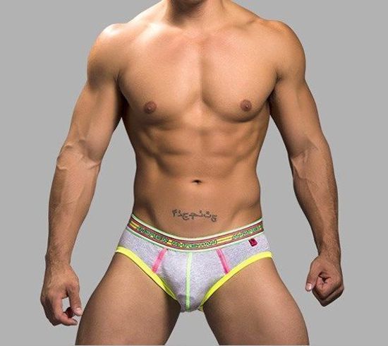 Мужские трусы брифы серые Andrew Christian Brief Grey AC9616
