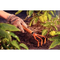 Рыхлитель Tramontina 77909001 садовый огородный культиватор с 3-мя зубьями с деревянной ручкой | Tramontina