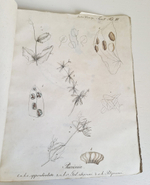 "Memoires de la societe imperiale des naturalistes de Moscou T. 1, 3, 5 (Воспоминания Московского Императорского Общества естествоиспытателей)". 1817 г.