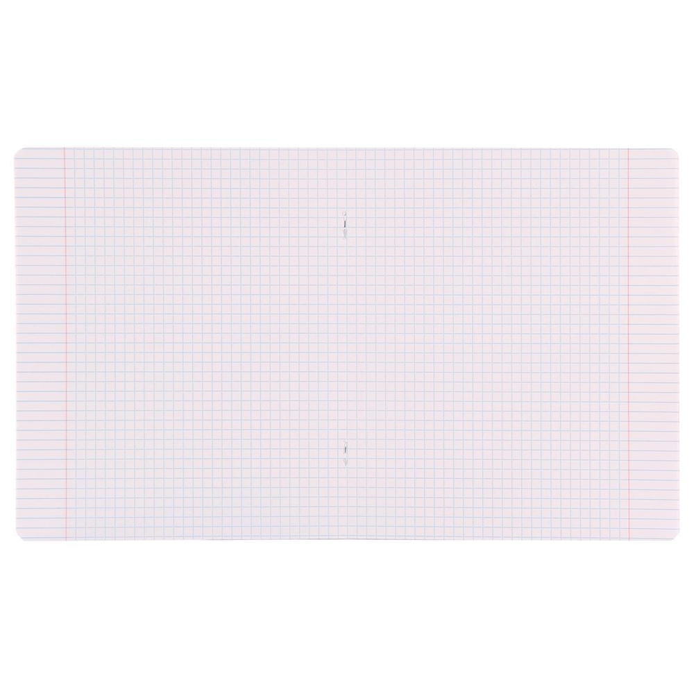 Тетрадь школьная А5 12л клетка "Классика" (Erich Krause)