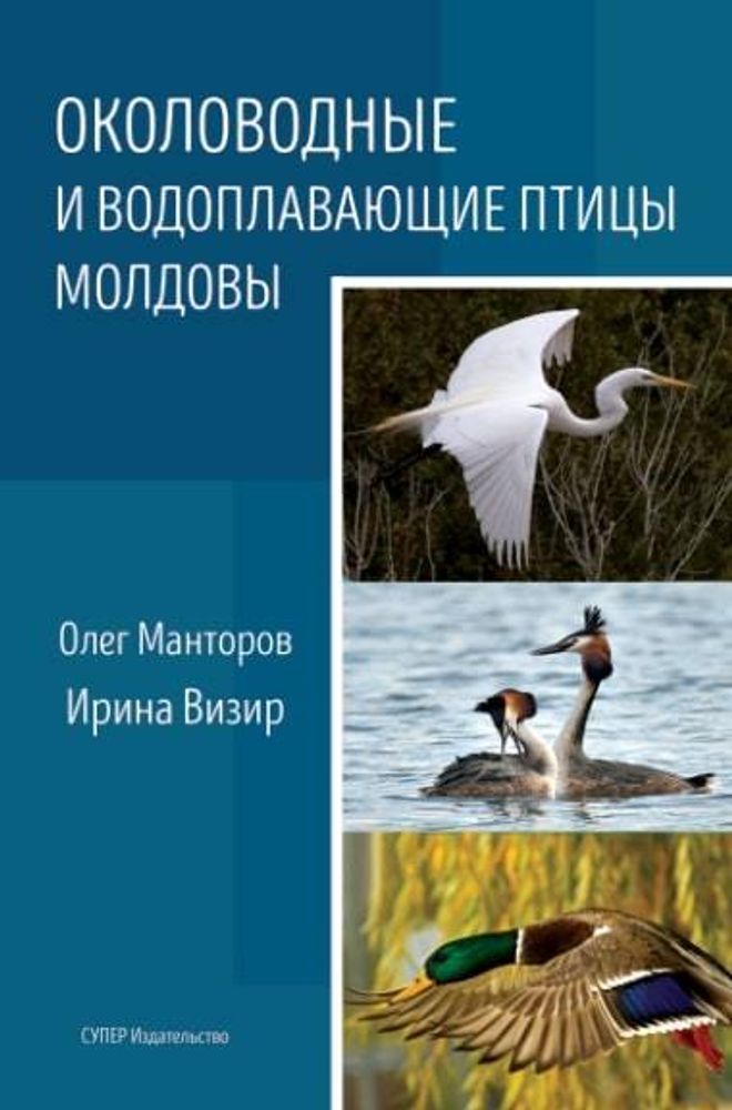 Околоводные и водоплавающие птицы Молдовы